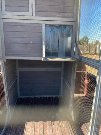Cage (Lemon Cove)64025057157762120
