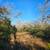 5.74 Acres For Sale - Owner Financing Available 4 thumbnail