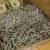 Dry Wall Screw Self Drilling Bugle Head Zinc Fastenal Box 239.99 Value 4 thumbnail