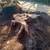 STUMP GRINDING & Surface Roots Removal by Brad Frederick's LLC 15 thumbnail