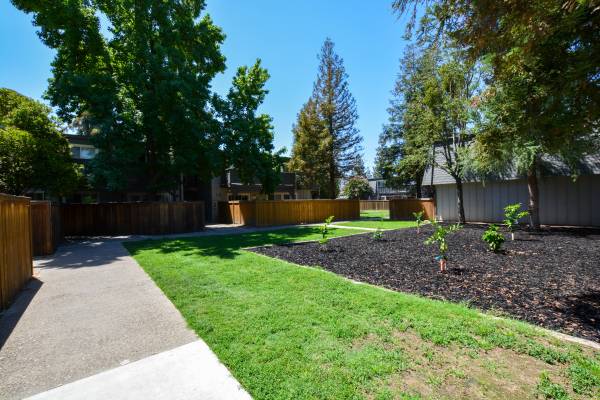 $1,910 / 3br - 964ft2 - Great Amenities!  THREE BEDROOM 1.5 Bath (Turlock)63970308198275120