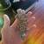 Uromastyx 3 thumbnail