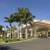 Cuban Royal palms ///// Roystonea regia 1 thumbnail