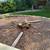Tree and Stump Removal Needed 5 thumbnail