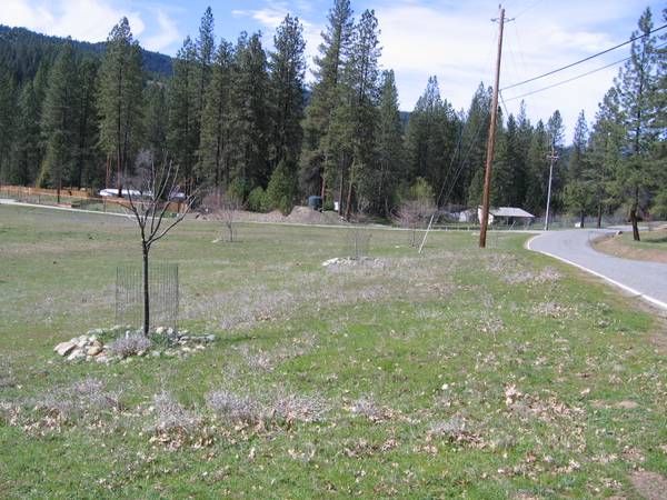 $165,000 3.17 Acres Trinity County along the Trinity River (price reduced $30K) (Lewiston, CA)63972531218434122