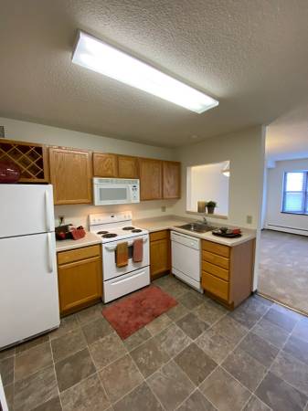 $1,110 / 480ft2 - Estudio acogedor "Pike" con ¡1 mes gratis! (Lowertown)63868700830467120