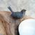 Natural Wood Bowl with Antique Metal Bird 3 thumbnail