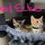 boo and echo 3 thumbnail