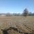 Mulching/shredding/skidsteer work. 14 thumbnail