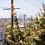 2 beds 1 bath beautiful place, views, porch, private yard, pets ok 5 thumbnail