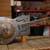 Mule Tricone Resonator 4 thumbnail