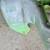2003-08 Suzuki LTZ400 Seat / Headlight / Plastics 12 thumbnail