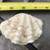 3 Clam Shells (All for $10) 7 thumbnail