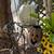 Outdoor Halloween Decor 5 thumbnail