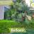 ***Professional Lawn and Maintenance Services, Quality & Excellence*** 2 thumbnail