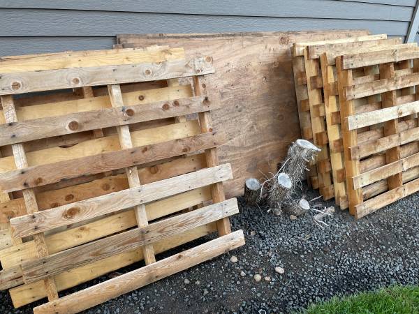 Free Pallets 1