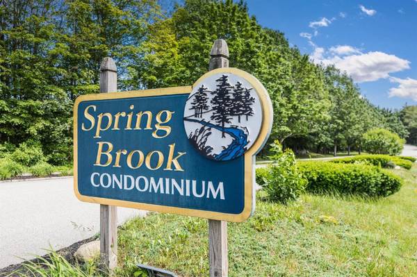 $2800.00 / 2br - 1071ft2 - 709 Springbrook Condominium63931653245571120