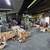 Machine Shop Facility & Warehouse Facility / REAL ESTATE AUCTION 7 thumbnail