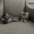 Persian Kitten 2 thumbnail