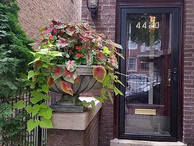 $1,600 / 2br - 1100ft2 - $1,600/2br- Check out this beautiful lower unit at Albany Park (Albany Park)64041476148483122