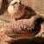 Quail 2 thumbnail