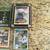 Collection of Steve Largent Football Cards 4 thumbnail