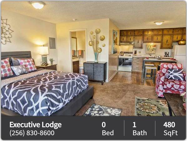 $739 / 480ft2 - All you need and more: Studio in a vibrant community. (Huntsville)63801860130433121