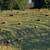 Square bales  for sale, weight 40–50lbs approximately 2 thumbnail
