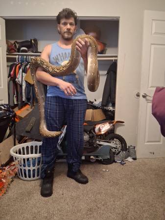 Pitón reticulada (Littleton)65170899092099120