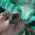 8 Carat Amethyst & Marcasite Ring 1 thumbnail