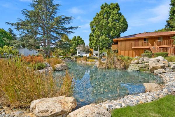 $1,687 / 1br - 675ft2 - Covered Parking Available, Spacious Floor Plans (san leandro)63850427728771121