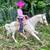 Custom Breyer Rider Doll & Model Horse Playset, Handsewn Doll Clothes, Handmade  13 thumbnail