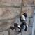 Rock Climbing Art Sculpture Signed Ancizar Marin 5 thumbnail