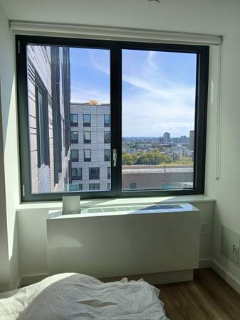$2,950 / 1br - Estudio de lujo de $2950 en Crown Heights63684745477505123