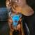 7 month doberman pincher 1 thumbnail