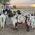 Boer Goat commercial herd 10 thumbnail
