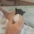 Baby kitten needs bottle fed 2 thumbnail