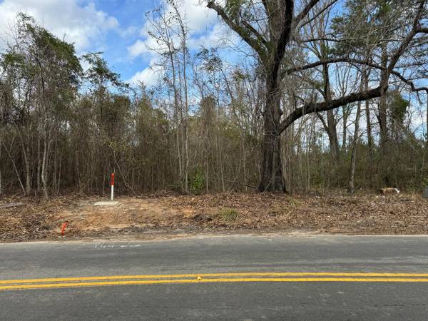 $450,000 / 1089000ft2 - 25-Acre Vacant Land for Sale in Adams Run (Adams Run)64016107100417121