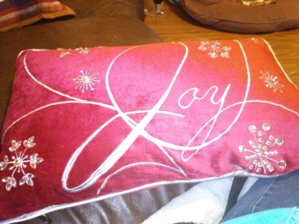 Couch pillows 1