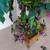 ARTIFICIAL TREE 8 FEET HIGH - WILL DELIVER - 3 thumbnail