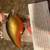 Fishing lures 1 thumbnail