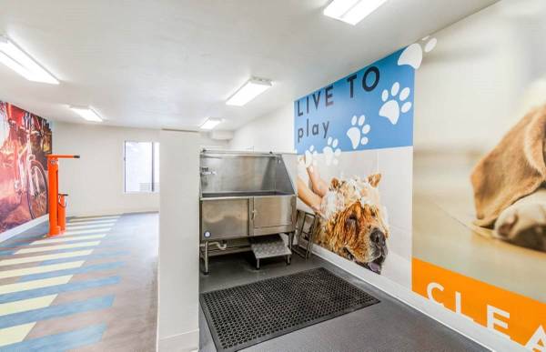$2,560 / 1br - 700ft2 - Luxurious 1 bed / 1 bath with washer and dryer included (San Diego)63819410667137122