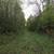 160 acres hunting land in beltrami county 3 thumbnail