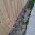 **** DO NOT HIRE E&M Landscaping LLC. **** 18 thumbnail