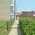 3BR,1Bath Spacious Condo for rent Immediately 2 thumbnail