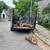 TREE SERVICE TREE REMOVAL 10 thumbnail