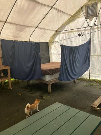 $115 / 4br - Cabin on a Farm $115.00 a week (Mt. View)63939529608706123