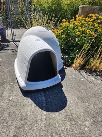 Dog's house 1