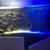 Red Sea Reefer 425 Saltwater Fish Tank Aquarium 4 thumbnail