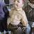 Porcelain Little Rascals 3 thumbnail